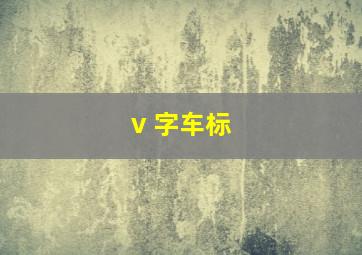 v 字车标